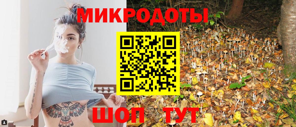 Псилоцибиновые грибы Psilocybine cubensis  дарнет шоп  Армавир  Вход с VPN  Псилоцибиновые грибы GOLDEN TEACHER 