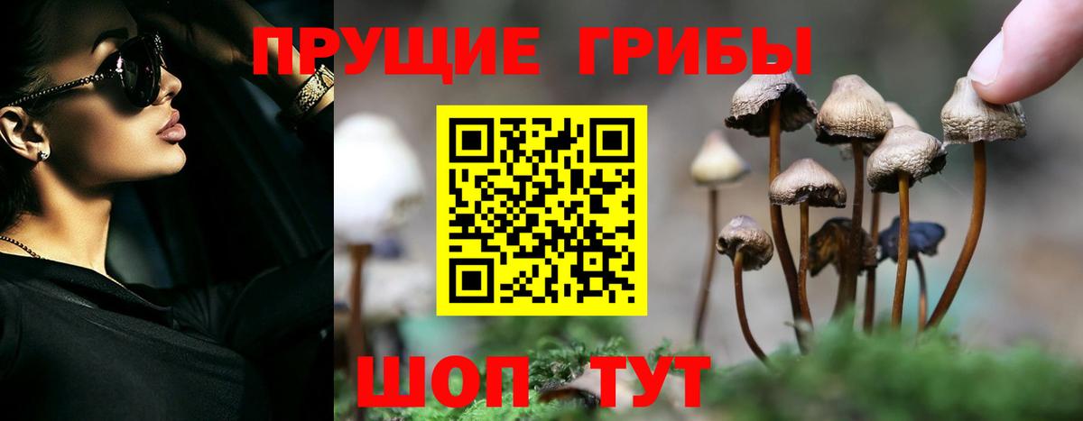 Псилоцибиновые грибы мухоморы Армавир
